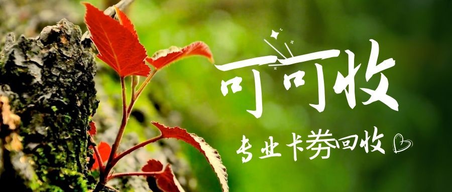 图怪兽_简约文艺摄影风春天春季聊一聊公众号封面.jpg